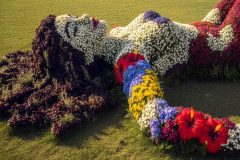 flora
