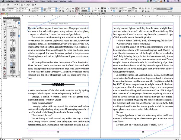 InDesign interface: master pages, glyph, headers, text frames