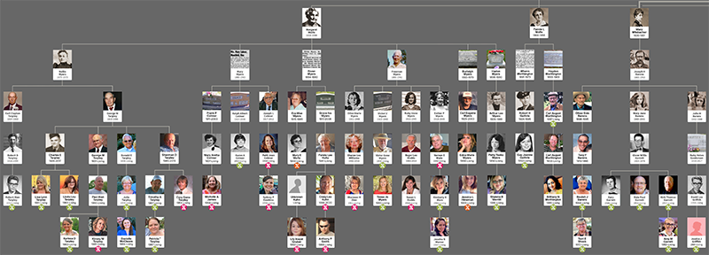 low-res DNA tree